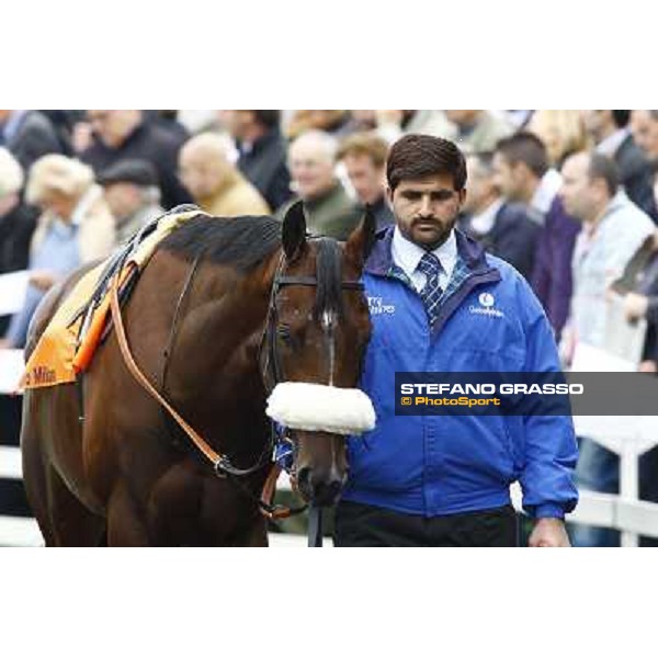 Ahmed Ajtebi and Biondetti win the Gran Criterium Milan - San Siro racetrack, 9th october 2010 ph. Stefano Grasso