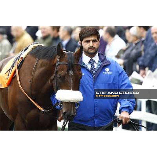 Ahmed Ajtebi and Biondetti win the Gran Criterium Milan - San Siro racetrack, 9th october 2010 ph. Stefano Grasso