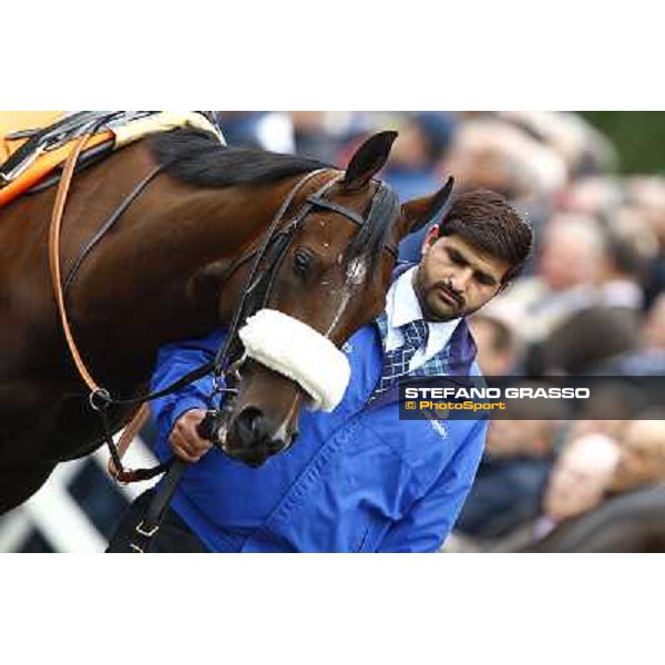 Ahmed Ajtebi and Biondetti win the Gran Criterium Milan - San Siro racetrack, 9th october 2010 ph. Stefano Grasso