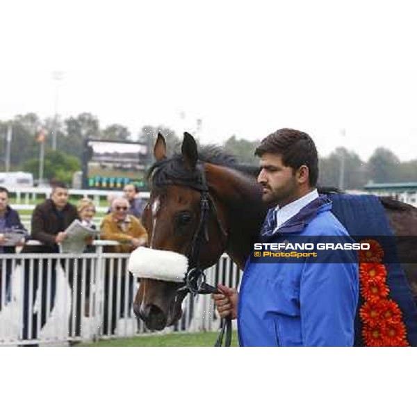 Ahmed Ajtebi and Biondetti win the Gran Criterium Milan - San Siro racetrack, 9th october 2010 ph. Stefano Grasso