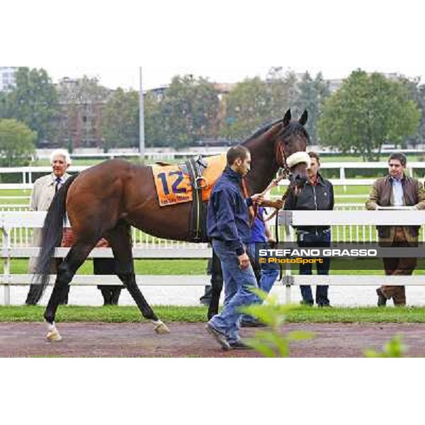 Worthadd parades before the start of the Premio Vittorio di Capua Milan - San Siro racetrack, 9th oct. 2010 ph. Stefano Grasso