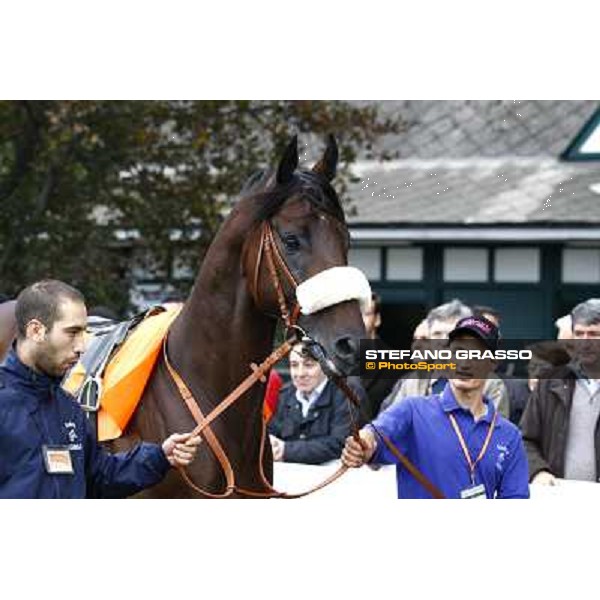 Worthadd parades before the start of the Premio Vittorio di Capua Milan - San Siro racetrack, 9th oct. 2010 ph. Stefano Grasso
