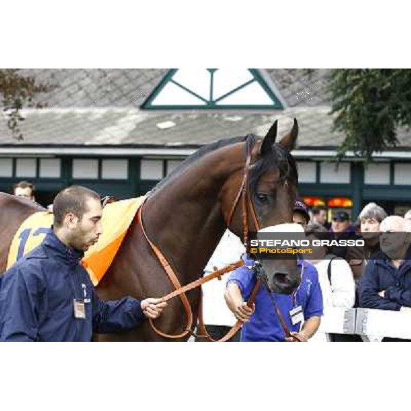 Worthadd parading before the start of Premio Vittorio di Capua Milan - San Siro racetrack, 9th oct. 2010 ph. Stefano Grasso