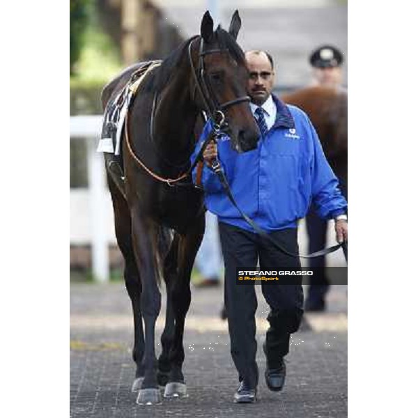 Antara parades before the 2nd place in the Premio Lydia Tesio Rome, Capannelle racetrack 24th oct. 2010 ph. Stefano Grasso