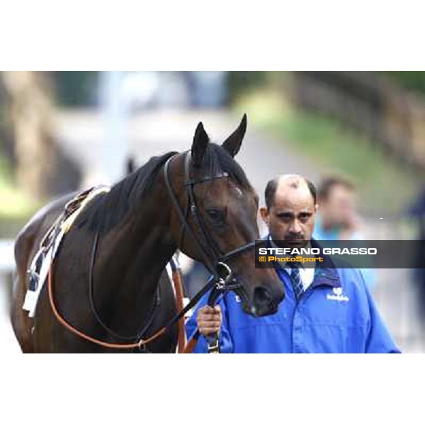 Antara parades before the 2nd place in the Premio Lydia Tesio Rome, Capannelle racetrack 24th oct. 2010 ph. Stefano Grasso