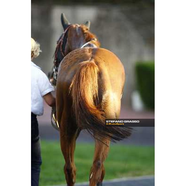 Aoife Alain returns home after winning he Premio Lydia Tesio Rome, Capannelle racetrack 24th oct. 2010 ph. Stefano Grasso