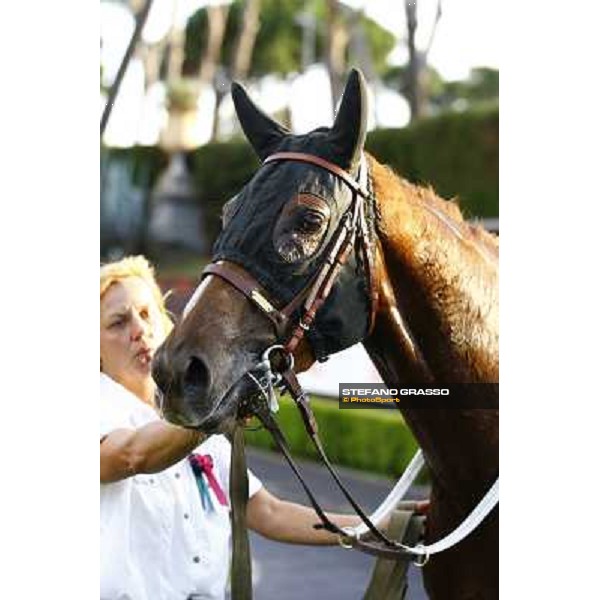 a close up for Aoife Alainn after winning the Premio Lydia Tesio Rome, Capannelle racetrack 24th oct. 2010 ph. Stefano Grasso