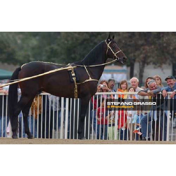 77° Derby Italiano del Trotto Varenne In Tour - Varenne in front of the public of Tordivalle racetrack Rome, 10th october 2004 ph. Stefano Grasso