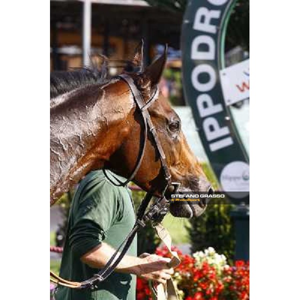 Christian Demuro on Ransom Hope wins the Premio Nearco Rome, Capanelle racetrack, 24th oct. 2010 ph. Stefano Grasso