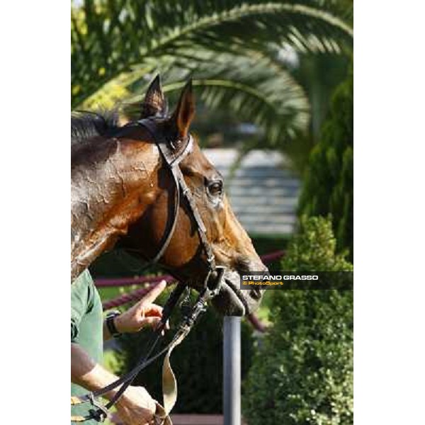 Christian Demuro on Ransom Hope wins the Premio Nearco Rome, Capanelle racetrack, 24th oct. 2010 ph. Stefano Grasso