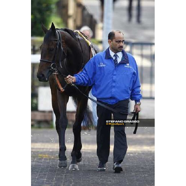 Antara parading with her groom before the Premio Lydia Tesio Rome, Capannelle racetrack, 24th oct. 2010 ph. Stefano Grasso