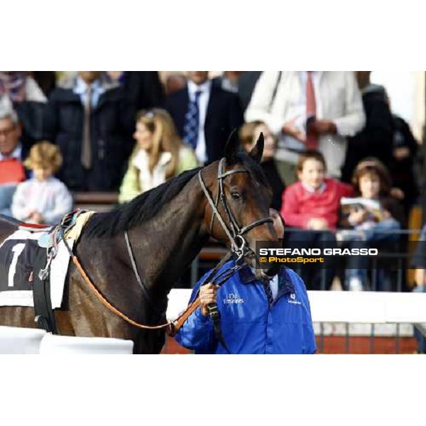 Antara parading with her groom before the Premio Lydia Tesio Rome, Capannelle racetrack, 24th oct. 2010 ph. Stefano Grasso