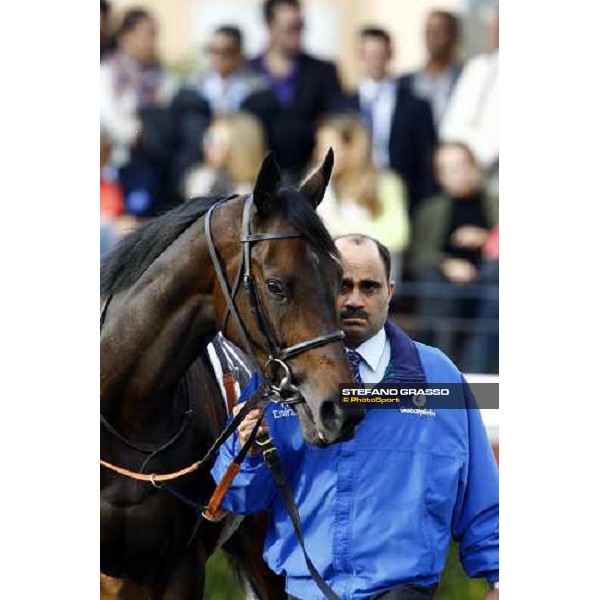 Antara parading with her groom before the Premio Lydia Tesio Rome, Capannelle racetrack, 24th oct. 2010 ph. Stefano Grasso