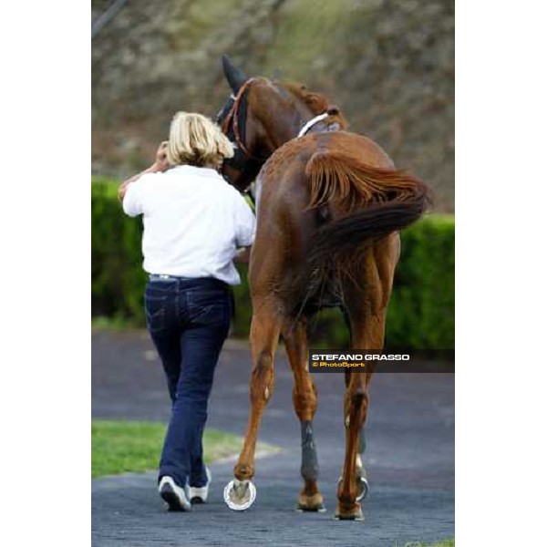 Aoife Alainn returns home with her groom after landing the Premio Lydia Tesio Rome, Capannelle racetrack, 24th oct. 2010 ph. Stefano Grasso 