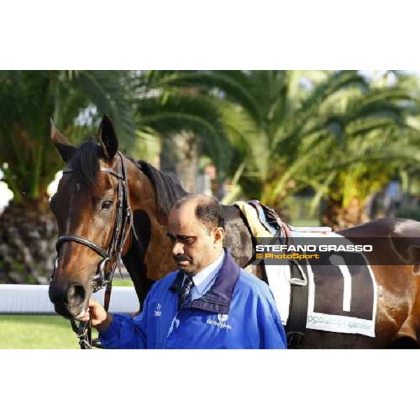 Antara parading with her groom before the Premio Lydia Tesio Rome, Capannelle racetrack, 24th oct. 2010 ph. Stefano Grasso