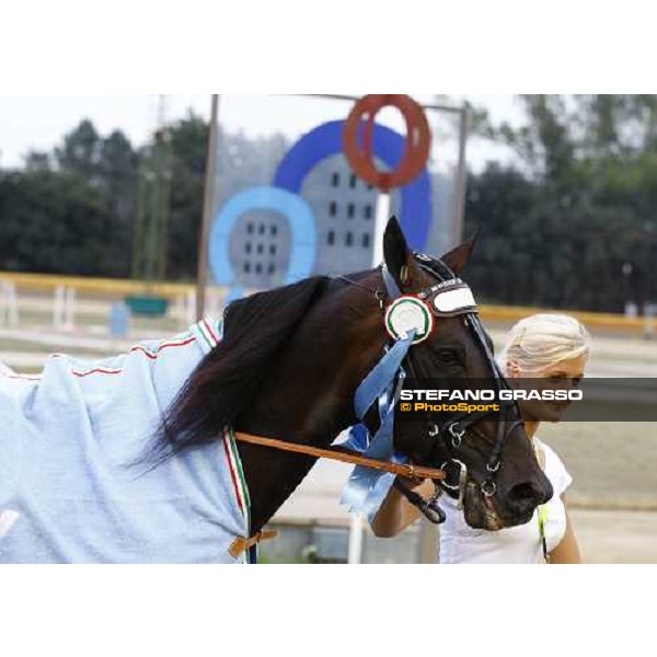 a close up for Nadir Kronos and his groom parading after winning the 83¡ Italian Trotting Derby Roma, 10th oct. 2010 ph. Stefano Grasso