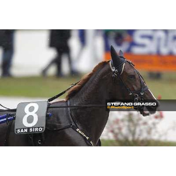 Roberto Vecchione with Nesta Effe wins the Gran Premio Paolo e Orsino Orsi Mangelli Milan, San Siro racetrack 1st nov. 2010 ph. Stefano Grasso