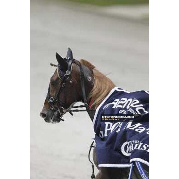 Roberto Vecchione with Nesta Effe wins the Gran Premio Paolo e Orsino Orsi Mangelli Milan, San Siro racetrack 1st nov. 2010 ph. Stefano Grasso