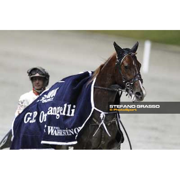 Roberto Vecchione with Nesta Effe wins the Gran Premio Paolo e Orsino Orsi Mangelli Milan, San Siro racetrack 1st nov. 2010 ph. Stefano Grasso