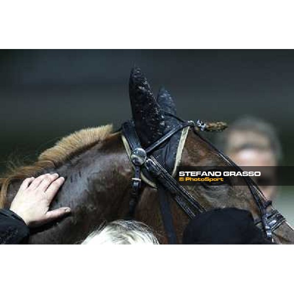 Roberto Vecchione with Nesta Effe wins the Gran Premio Paolo e Orsino Orsi Mangelli Milan, San Siro racetrack 1st nov. 2010 ph. Stefano Grasso