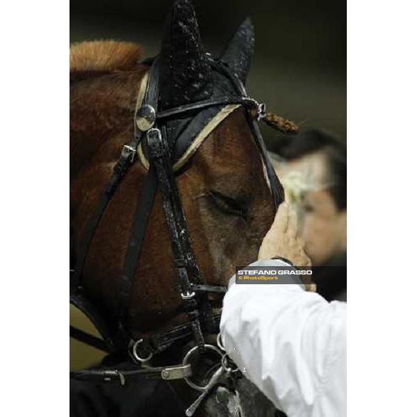 a caress for Nesta Effe winner of the Gran Premio Paolo e Orsino Orsi Mangelli Milan, San Siro racetrack 1st nov. 2010 ph. Stefano Grasso