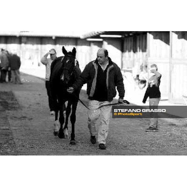 Anact selected yearlings sales Settimo Milanese (MI), 29th oct. 2010 ph. Stefano Grasso