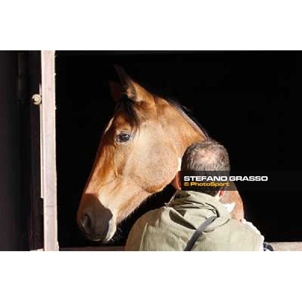 Anact selected yearlings sales Settimo Milanese (MI), 29th oct. 2010 ph. Stefano Grasso