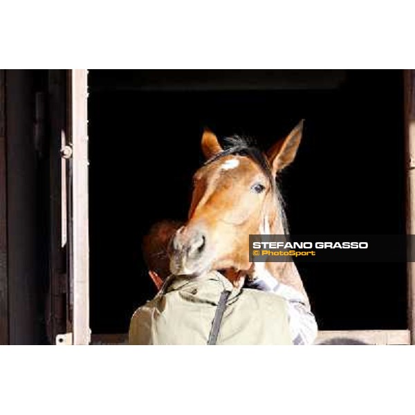 Anact selected yearlings sales Settimo Milanese (MI), 29th oct. 2010 ph. Stefano Grasso