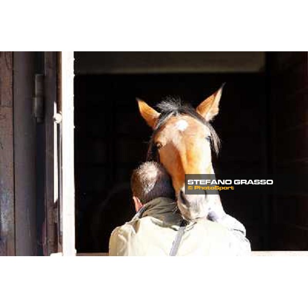 Anact selected yearlings sales Settimo Milanese (MI), 29th oct. 2010 ph. Stefano Grasso
