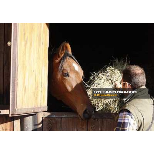 Anact selected yearlings sales Settimo Milanese (MI), 29th oct. 2010 ph. Stefano Grasso