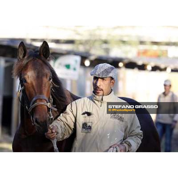 Anact selected yearlings sales Settimo Milanese (MI), 29th oct. 2010 ph. Stefano Grasso