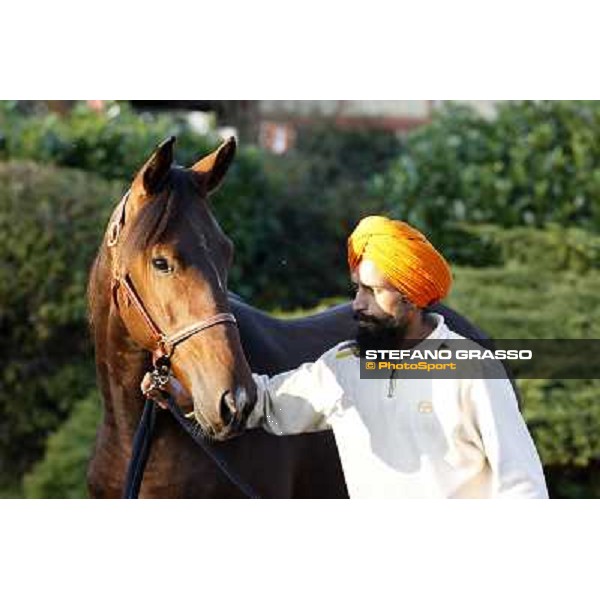 Anact selected yearlings sales Settimo Milanese (MI), 29th oct. 2010 ph. Stefano Grasso