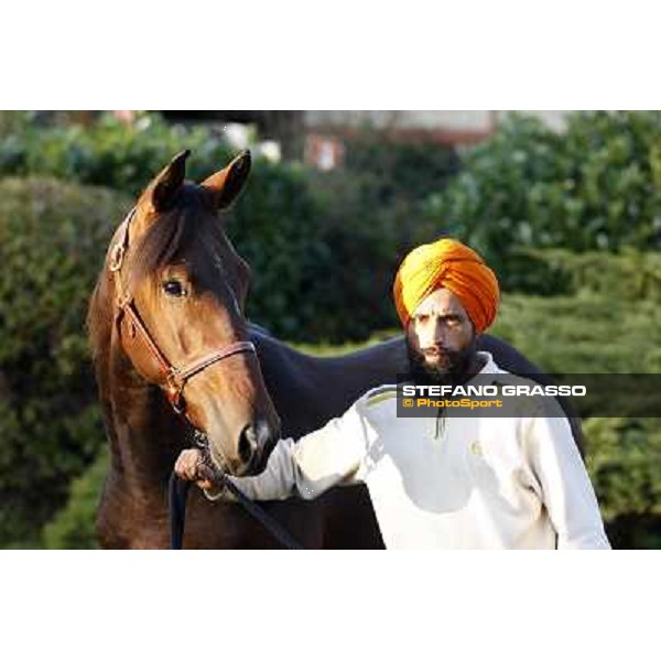 Anact selected yearlings sales Settimo Milanese (MI), 29th oct. 2010 ph. Stefano Grasso