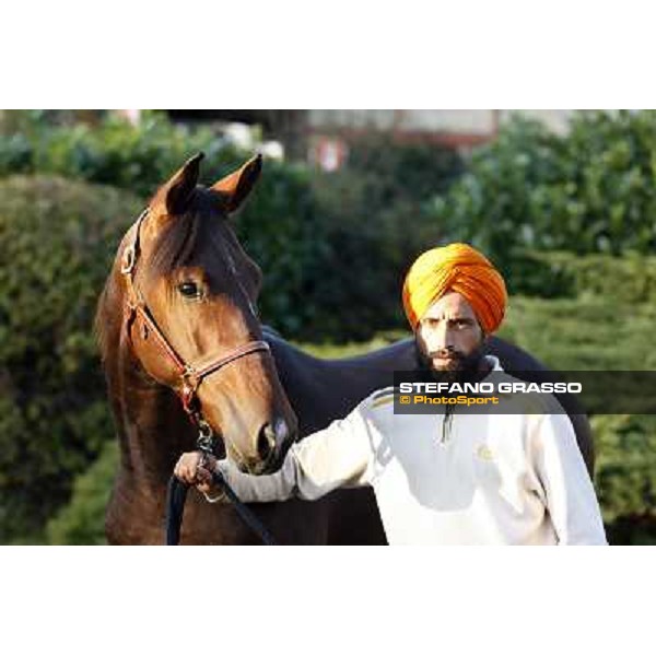 Anact selected yearlings sales Settimo Milanese (MI), 29th oct. 2010 ph. Stefano Grasso