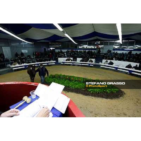 Anact selected yearlings sales Settimo Milanese (MI), 29th oct. 2010 ph. Stefano Grasso