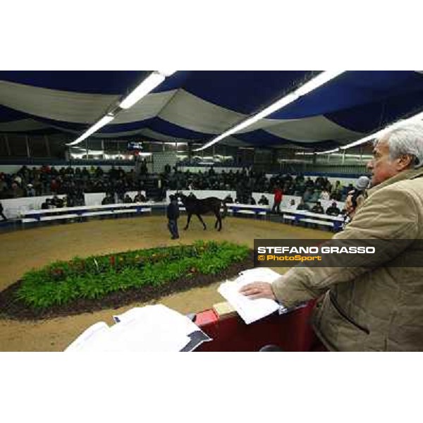 Anact selected yearlings sales Settimo Milanese (MI), 29th oct. 2010 ph. Stefano Grasso