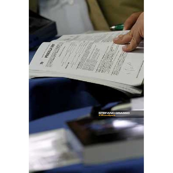 Anact selected yearlings sales Settimo Milanese (MI), 29th oct. 2010 ph. Stefano Grasso