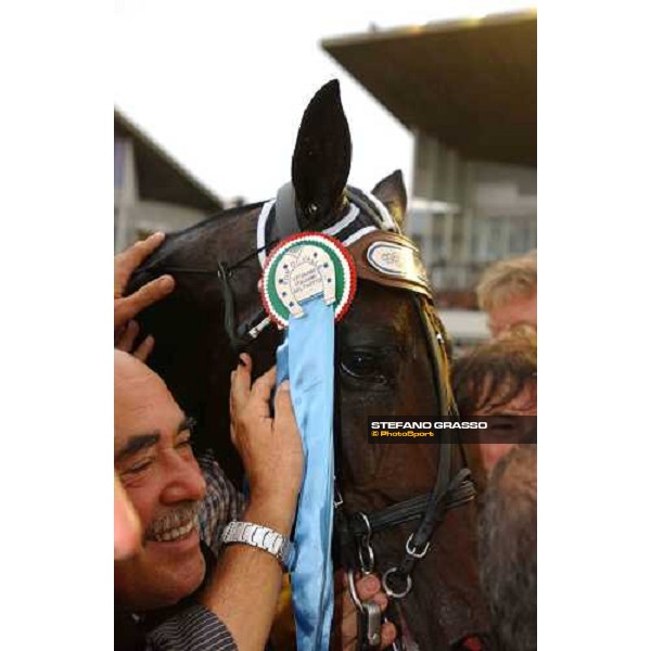close up for Echò dei Veltri winner of the 77° Derby Italiano del Trotto Rome, 10th october 2004 ph. Stefano Grasso