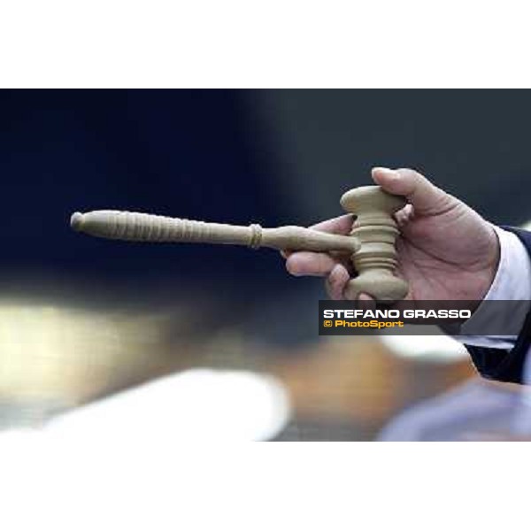 Anact selected yearlings sales Settimo Milanese (MI), 29th oct. 2010 ph. Stefano Grasso