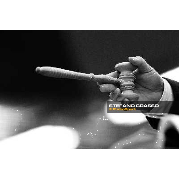 Anact selected yearlings sales Settimo Milanese (MI), 29th oct. 2010 ph. Stefano Grasso