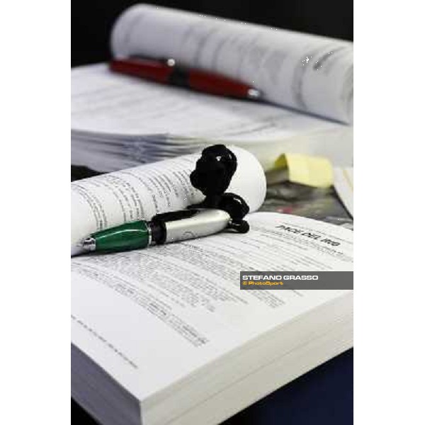 Anact selected yearlings sales Settimo Milanese (MI), 29th oct. 2010 ph. Stefano Grasso