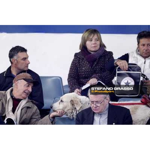 Anact selected yearlings sales Settimo Milanese (MI), 29th oct. 2010 ph. Stefano Grasso