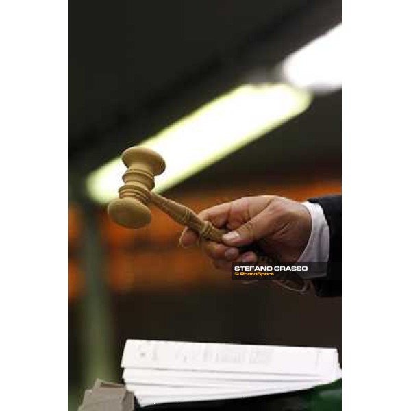 Anact selected yearlings sales Settimo Milanese (MI), 29th oct. 2010 ph. Stefano Grasso