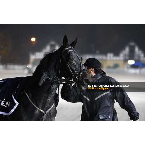 Gran Criterium \'Memorial Piero Biondi\' - Opal Brown Milan - San Siro racetrack, 14th nov. 2010 ph. Stefano Grasso