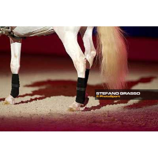 Horselyric Fieracavalli 2010 - Verona ph. Stefano Grasso/Fieracavalli
