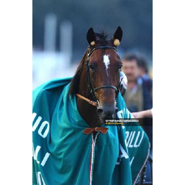 Infant du Bossis winner Gran Premio Gaetano Turilli Rome, 10th october 2004 ph. Stefano Grasso