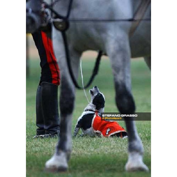 77° Derby Italiano del Trotto La Mascotte dei Carabinieri a Cavallo Roma, 10 ottobre 2004 ph. Stefano Grasso