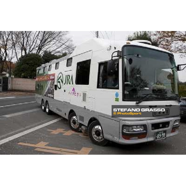 Voila Ici arrives at Fuchu racecourse Tokyo, 25th nov. 2010 ph. Stefano Grasso