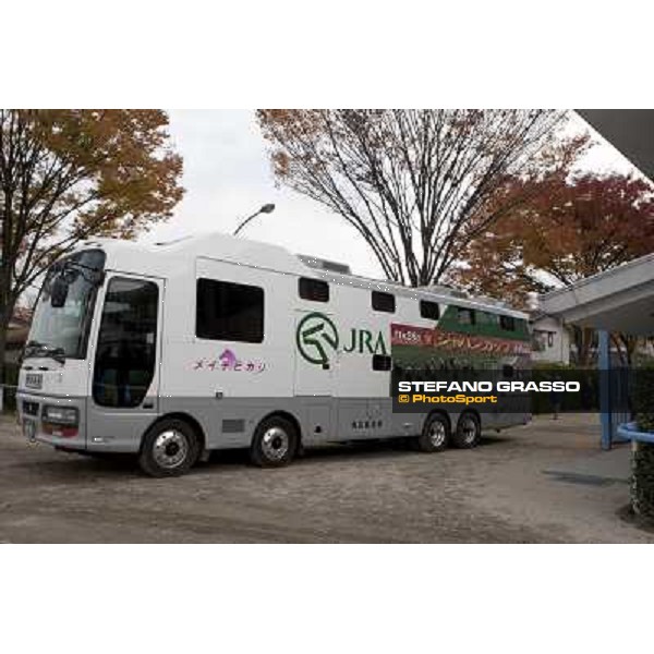 Voila Ici arrives at Fuchu racecourse Tokyo, 25th nov. 2010 ph. Stefano Grasso