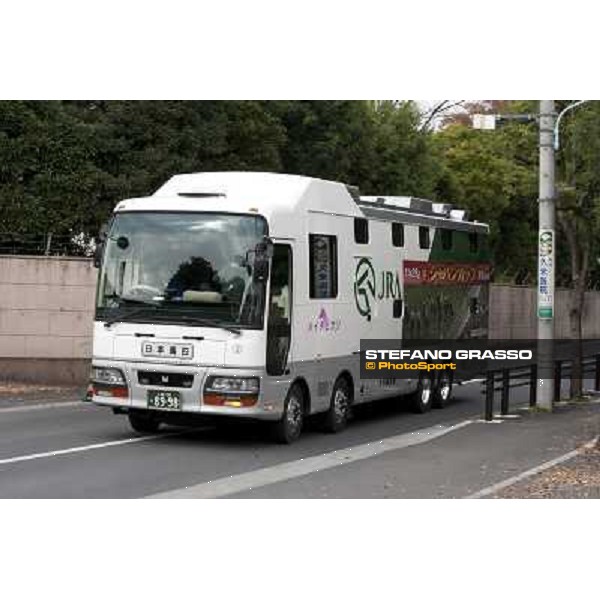 Voila Ici arrives at Fuchu racecourse Tokyo, 25th nov. 2010 ph. Stefano Grasso